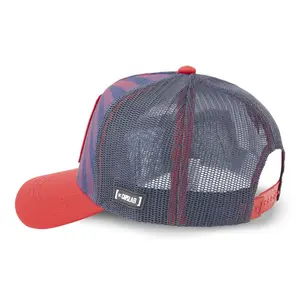 Gorra Capslab Looney Tunes Taz image-1