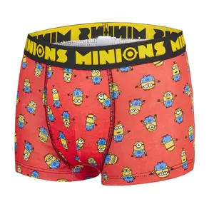 Children's boxer shorts Les Minions Despicable (x5) image-4