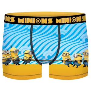 Children's boxer shorts Les Minions Despicable (x6) image-1