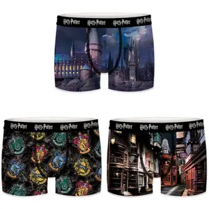 Children's boxer shorts Harry Potter Alnwick (x3) image-0