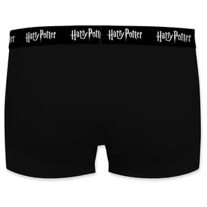 Children's boxer shorts Harry Potter Alnwick (x3) image-2