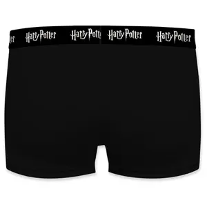 Children's boxer shorts Harry Potter Alnwick (x3) image-4