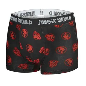 Children's boxer shorts Jurassic (x5) image-3