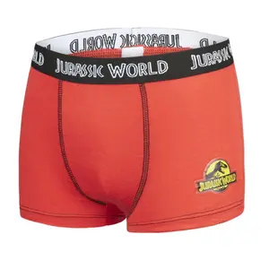 Children's boxer shorts Jurassic (x5) image-4