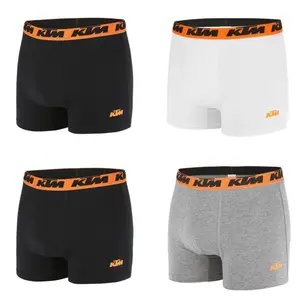 Boxer KTM (x4) image-0