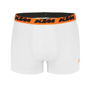 Boxer KTM (x4) image-1