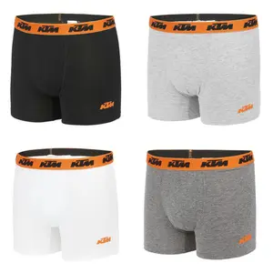 Boxer KTM (x4) image-1
