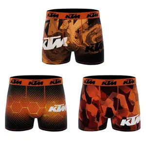 Boxer KTM (x3) image-1