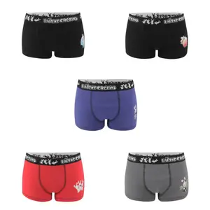 Rabbids Kids Boxer (x5) image-0