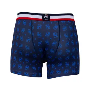 Calções de boxer de poliéster France Fan 2022/23 image-1