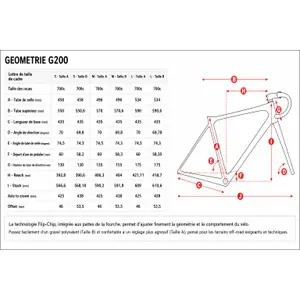 Fiets Welt G200 image-1