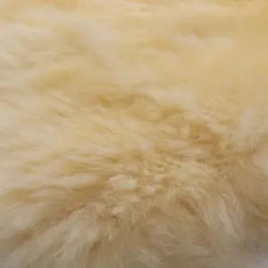 Liner for baby stroller Werner Christ Horse Babysweet image-2