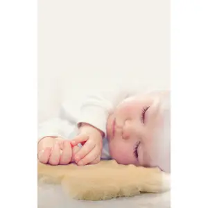 Liner for baby stroller Werner Christ Horse Babysweet image-5