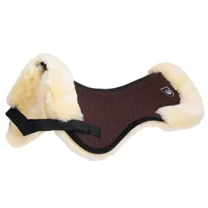 Amortisseur pour cheval Werner Christ Horse Rand Ultra image-0