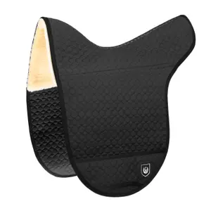 Tapete de equitação para cavalos Werner Christ Horse Champ XH image-0