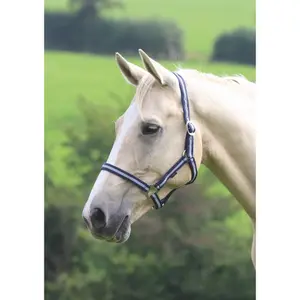 Halfter für Pferd Wessex image-1