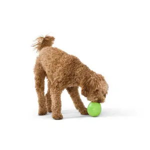 Hundeball West Paw Rumbl Small image-2