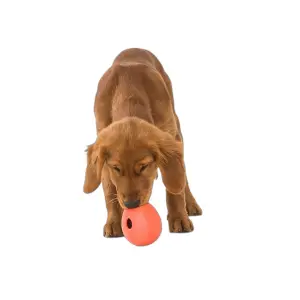 Hondenbal West Paw Rumbl Large image-1