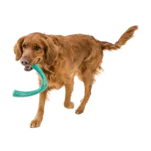 Hundespielzeug West Paw Snorkl image-3