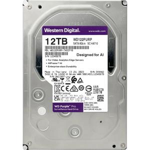 Disque dur HDD Western Digital Pro - S-ATA