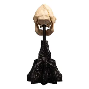 Samlarfigurin Weta Workshop Skull of Lurtz image-2