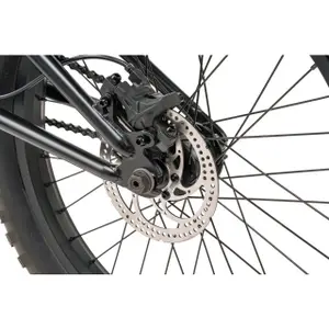 BMX Wethepeople The Swampmaster image-3