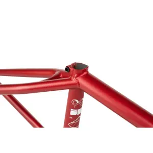 Ramme Wethepeople Network Dan Kruk Signature image-3