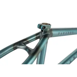 Cadre Wethepeople Paradox image-4