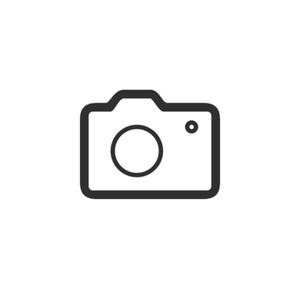 sb1294p-strahl-wheelsmith-ss14-schwarz-294-mm