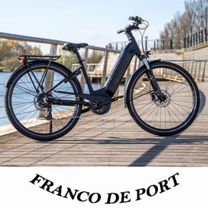 513656-bicicletta-elettrica-wheelyoo-bosch-nero-opaco-28
