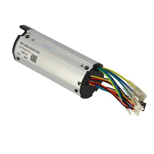 520835-elektrisches-steuergerat-fur-roller-mit-einem-einzigen-gehause-wheelyoo-silber-tu