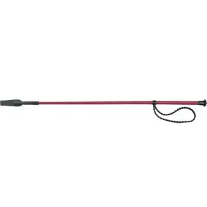 Piska för ridning Whip & Go Twist image-0