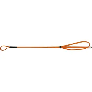 Riding Whip Whip & Go image-0