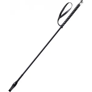 Riding Whip Whip & Go Points image-0