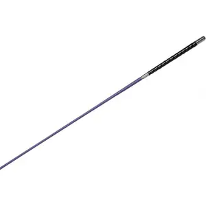 Riding crop Whip & Go Tourillon image-2
