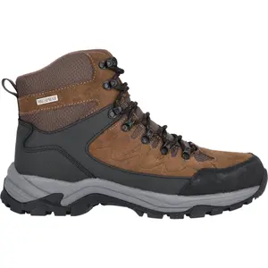 Hiking shoes Whistler Detion image-0