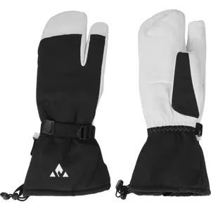 Gloves Whistler Barles Softshell 3
