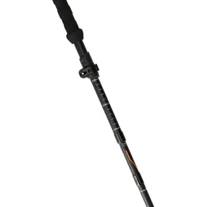 Hiking stick Whistler Beckley image-1