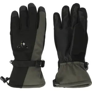 Ski gloves Whistler Fenwick