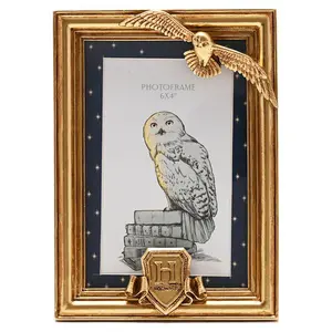 Photo frame Widdop & Co Harry Potter Hedwig