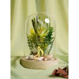 Lampe med neond belysning Widdop & Co Disney Princess Ariel image-3