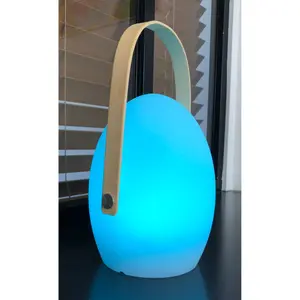 Οβάλ LED επιτραπέζια λάμπα Wilsa Garden Faro image-1