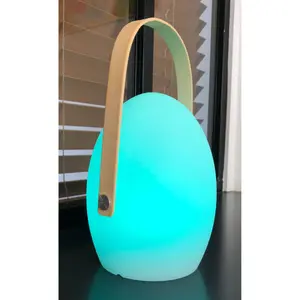 Οβάλ LED επιτραπέζια λάμπα Wilsa Garden Faro image-2