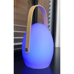 Οβάλ LED επιτραπέζια λάμπα Wilsa Garden Faro image-4