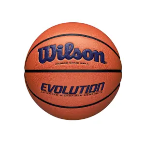 Basketball Wilson Evolution