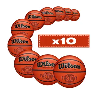 Set mit 10 Basketballbällen Wilson Evolution Hoops Factory
