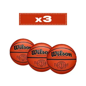 3er Set Basketballbälle Wilson Evolution Hoops Factory image-0