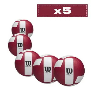 Set of 5 Match Volleyballs Wilson Helix image-0