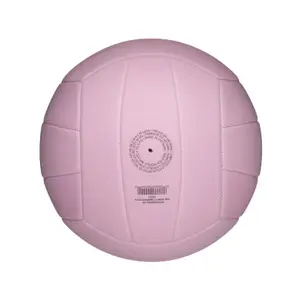Förpackning med 5 volleybollar Wilson Soft Play image-1