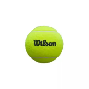 Tube mit 3 Padel-Bällen Wilson Premier Can image-2